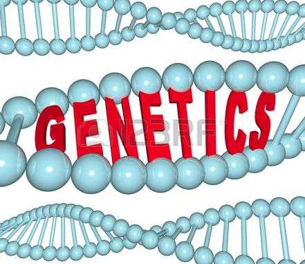 7544773-the-word-genetics-inside-a-dna-strand