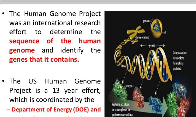 human-genome-project-8-638